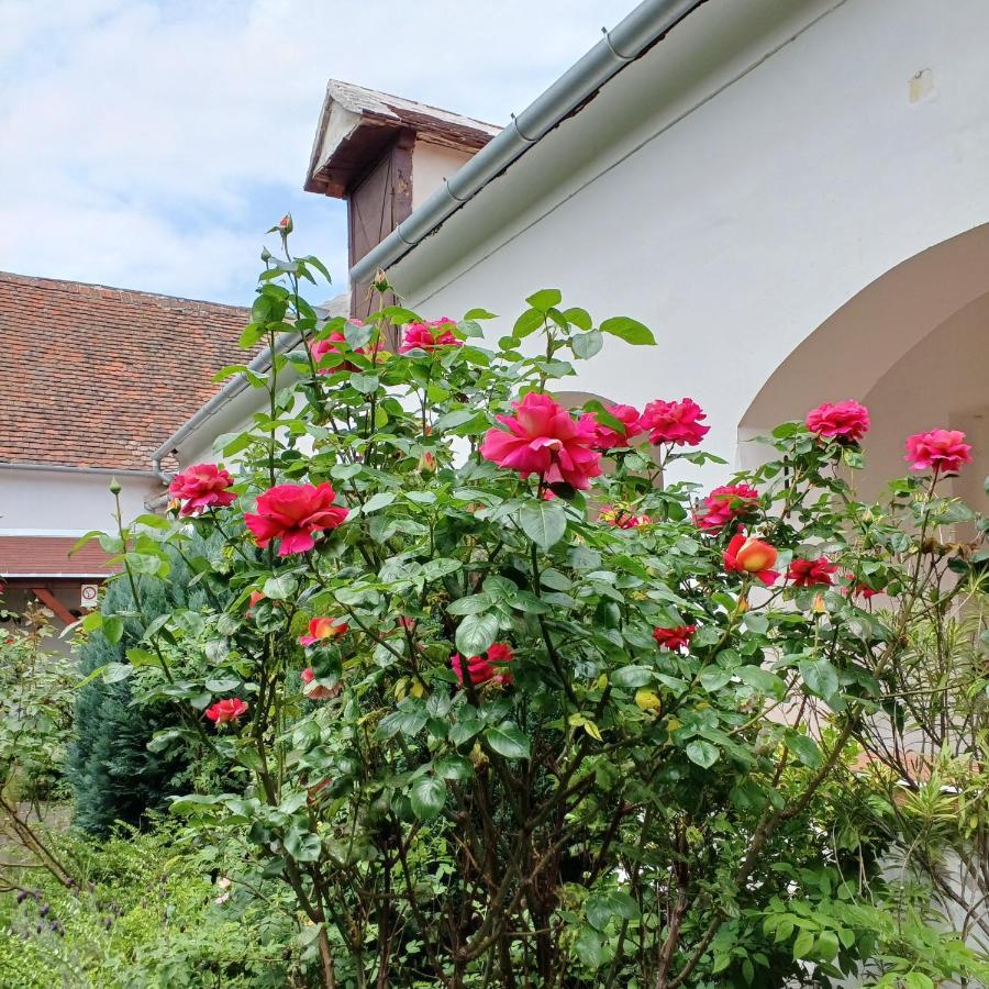 Blues Ryokan Koszeg Bagian luar foto