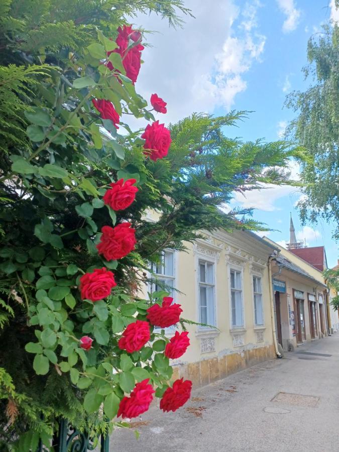 Blues Ryokan Koszeg Bagian luar foto